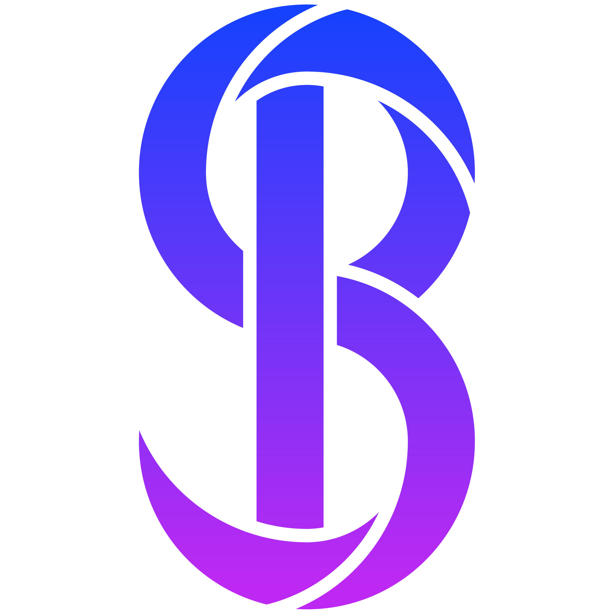 PUB BERRY Logo